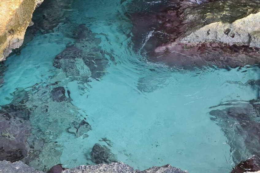 Aruba UTV Tours 3