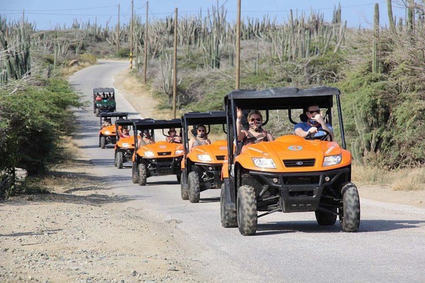 Aruba UTV Tours 2