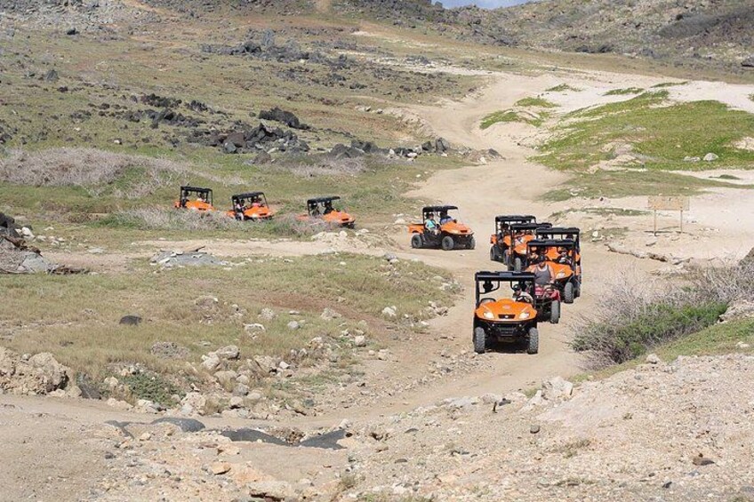 Aruba UTV Tours 3