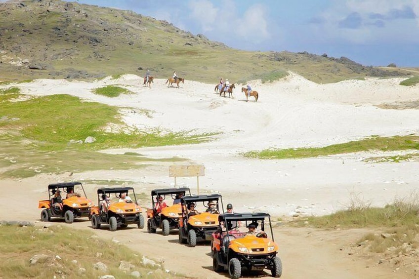 Aruba UTV Tours 4