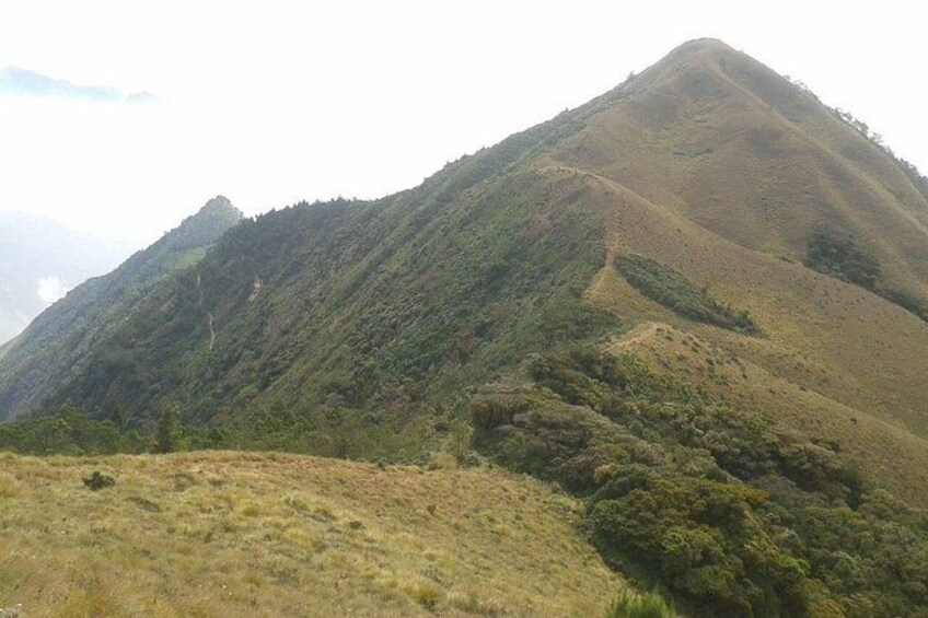 Meesapulimala Sunrise trek( By Munnar Info) 4