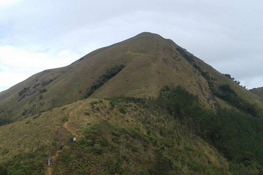 Meesapulimala Sunrise trek( By Munnar Info) 5