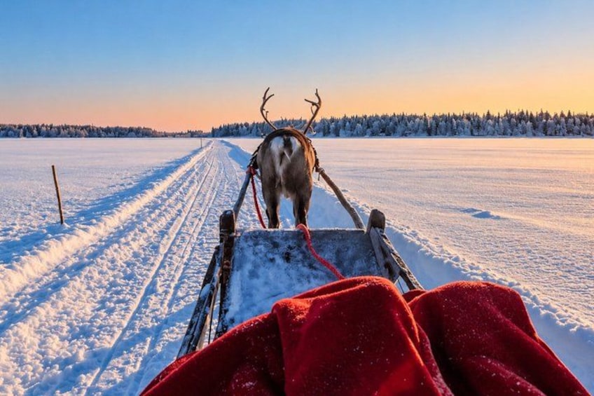 Un renne tirant une luge à travers un paysage enneigé au coucher du soleil. 5