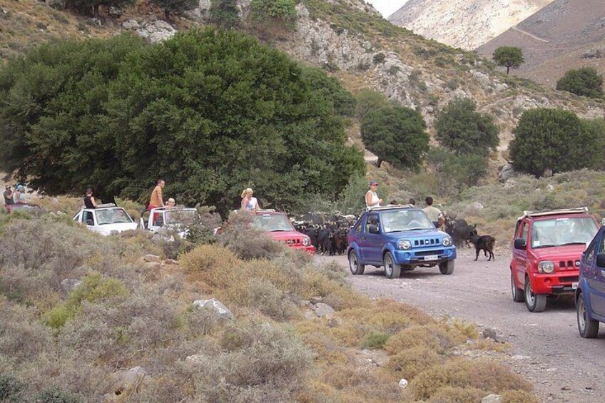 Eine Gruppe von Personen und Fahrzeugen auf einer unbefestigten Straße, umgeben von spärlicher Vegetation und Hügeln. 1