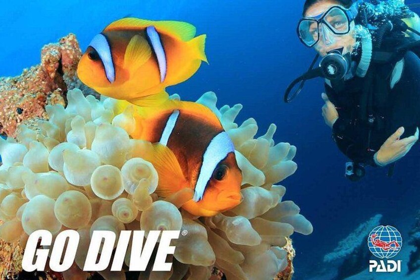 Exploration dives 1