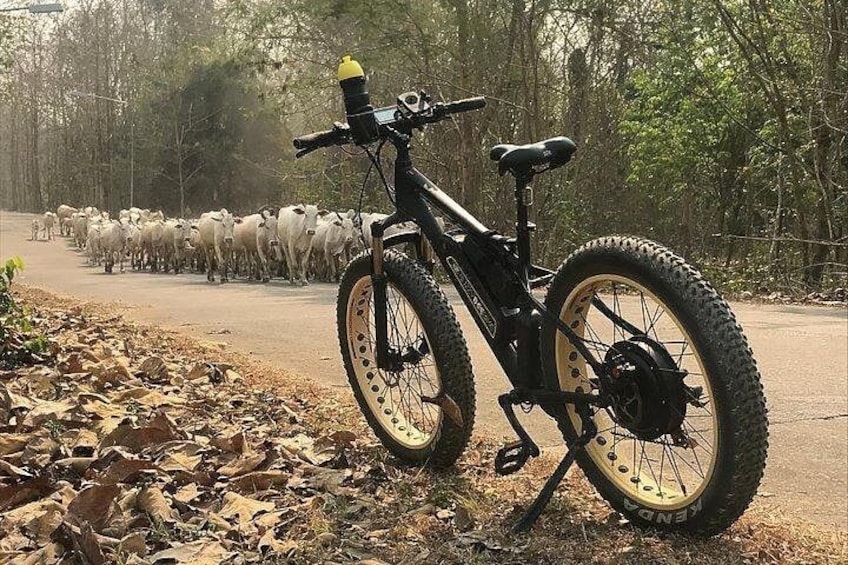 Half-day E-bike Nam Phrae (hilly, fully paved roads, GUIDED) 2