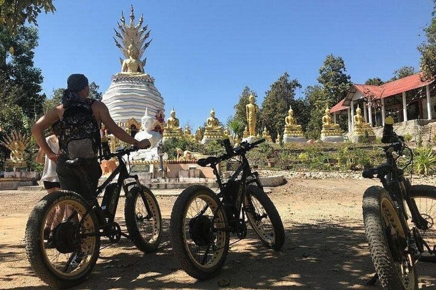 Half-day E-bike Nam Phrae (hilly, fully paved roads, GUIDED) 4