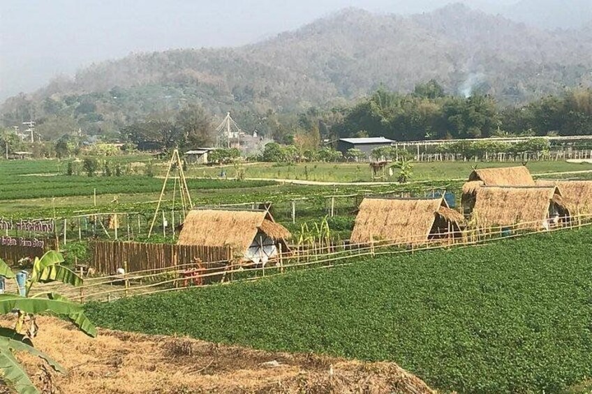 Half-day E-bike Nam Phrae (hilly, fully paved roads, GUIDED) 3