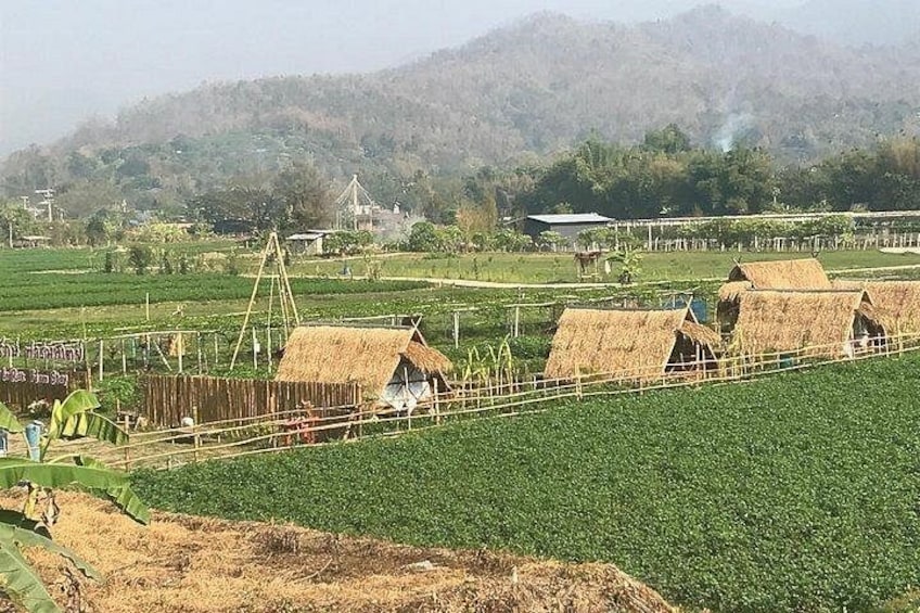 Half-day E-bike Nam Phrae (hilly, fully paved roads, GUIDED) 3