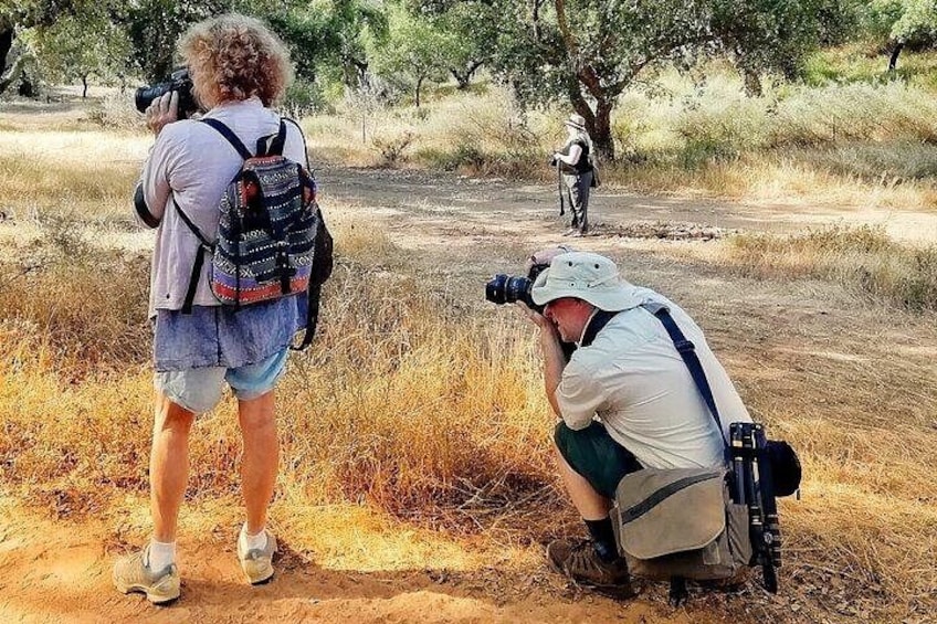 Two people taking photographs in a dry grassland area with trees in the background. 3