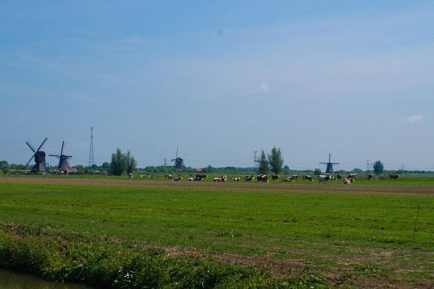 Kinderdijk Area Cycling Tour 4