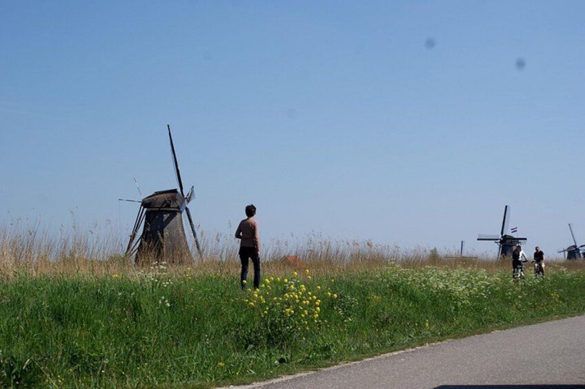 Kinderdijk Area Cycling Tour 5