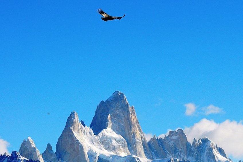 El Chalten Complete Experience Full Day Tour from El Calafate 3