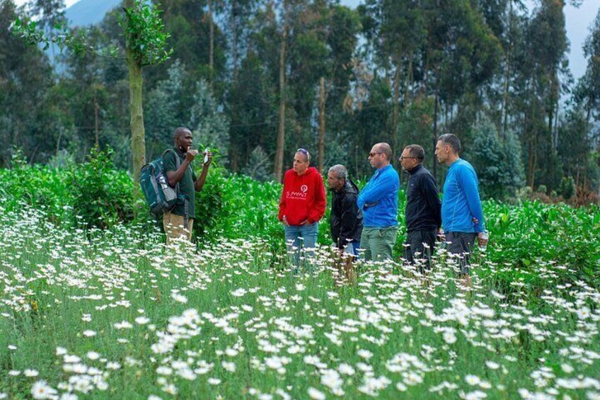 A group of people standing in a field of white flowers with a forest in the background. 2