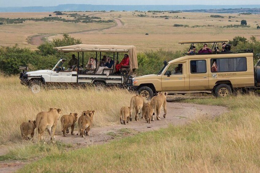 5 Days/4 Nights Kenya Safari