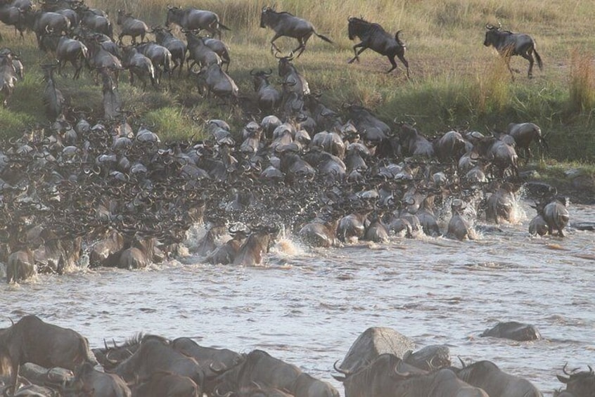 5 Days/4 Nights Kenya Safari