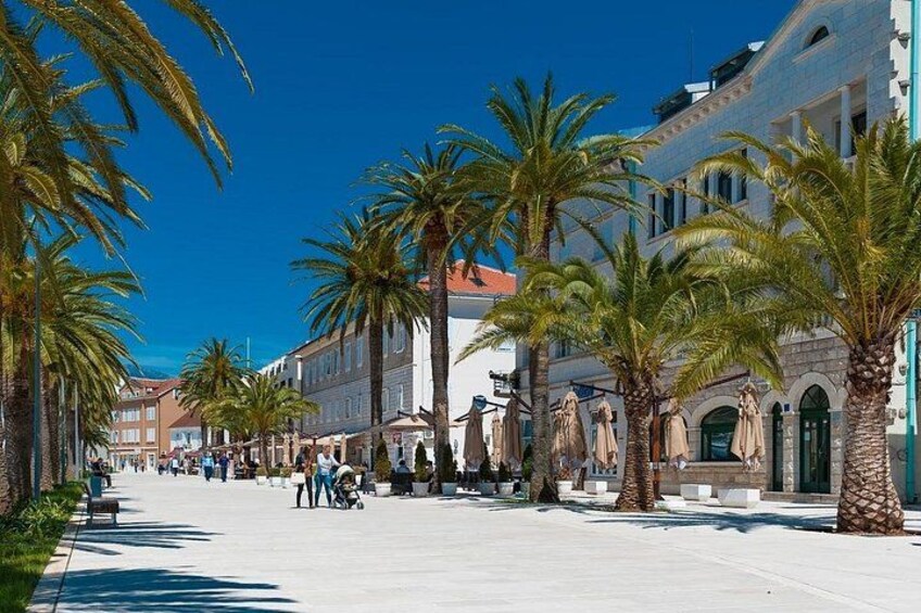 A sunny street lined with palm trees and buildings. 3