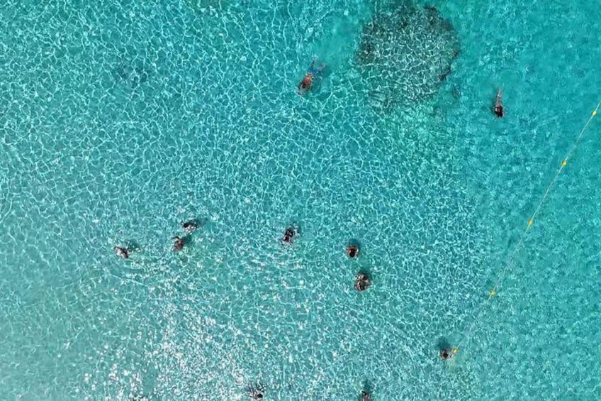 Similan Island November to April 5