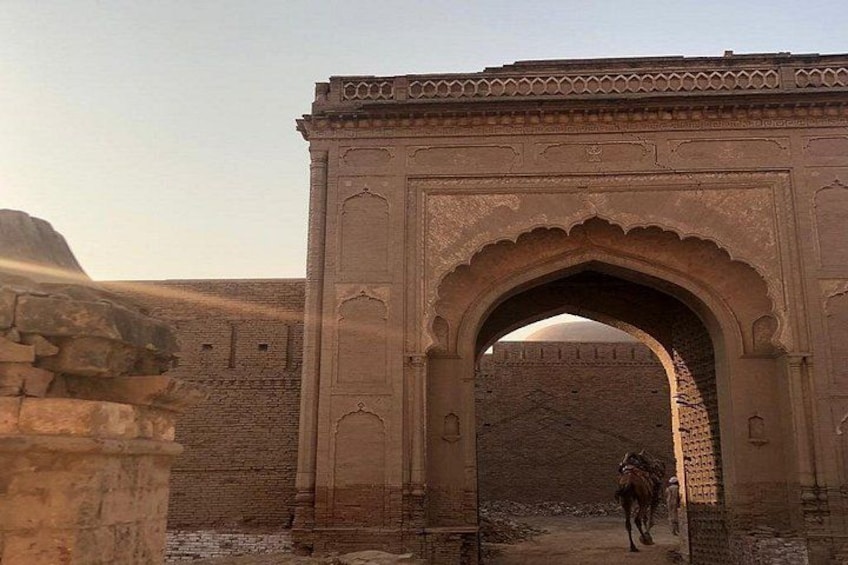 An arched gateway with intricate carvings, a camel passing through, and a desert landscape in the background. 5