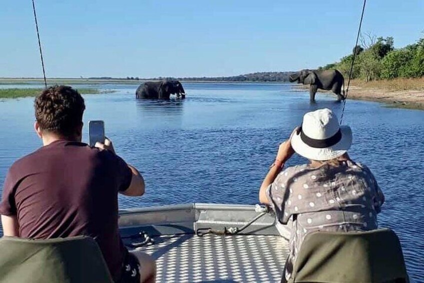 1 Night Chobe National Park Camping Safari