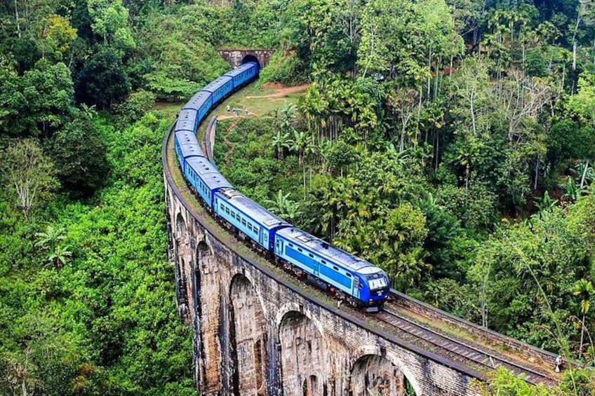 A blue train traveling on a bridge through a forested area. 1