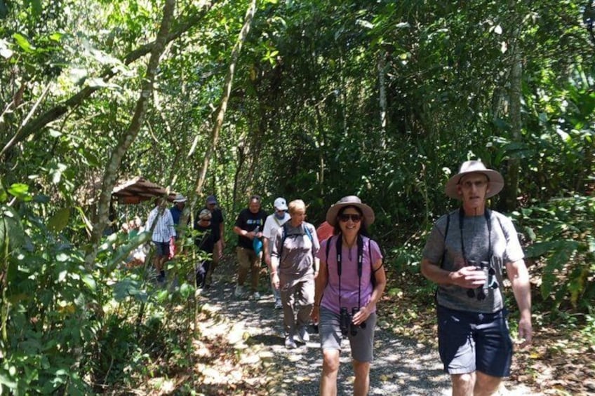 Rainforest Wildlife, Panama Hat makers, Traditional Cuisine. SHORE TOUR 2