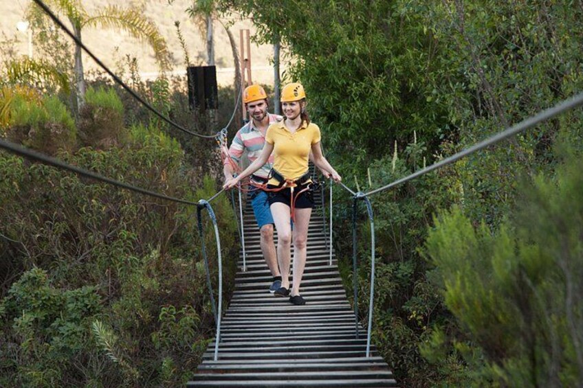 Cross the Hanging Bridges 5