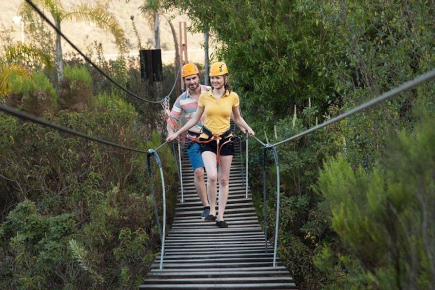 Two people walking on a suspended wooden bridge surrounded by dense greenery. 4
