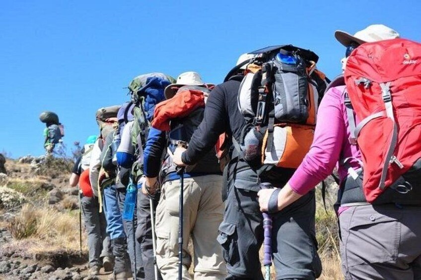 Eine Gruppe Wanderer mit Rucksäcken auf einem Bergpfad. 1