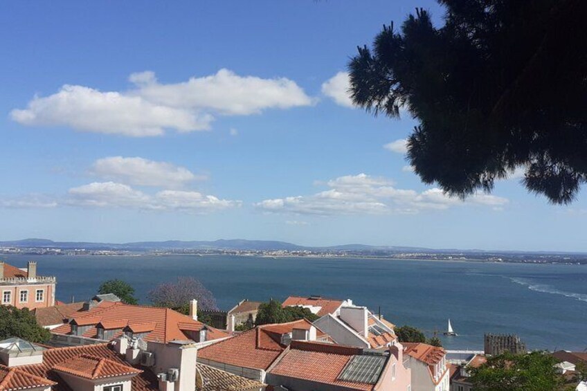 A coastal town with terracotta-roofed buildings, a clear blue sky, and a view of the sea. 3