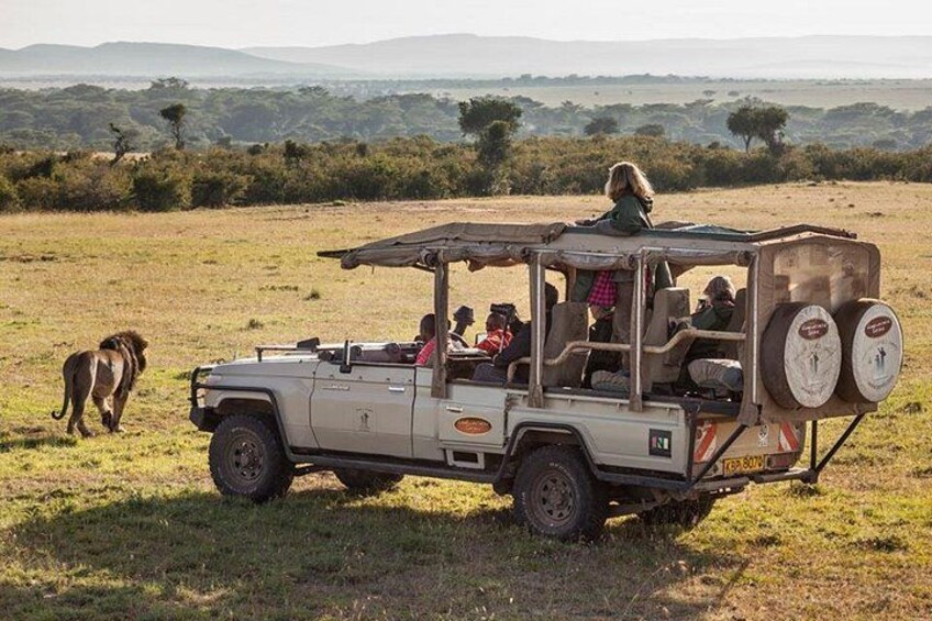 Cape Town 3-Day Attraction Tour:Safari Tour & Wine& Robben Island 1