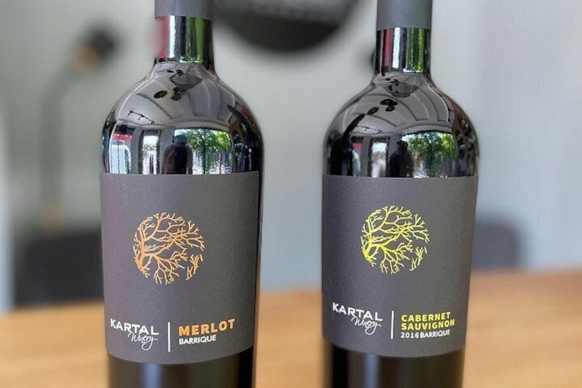 Wine Tasting Tour in Family winery Kartal in Skopje 3