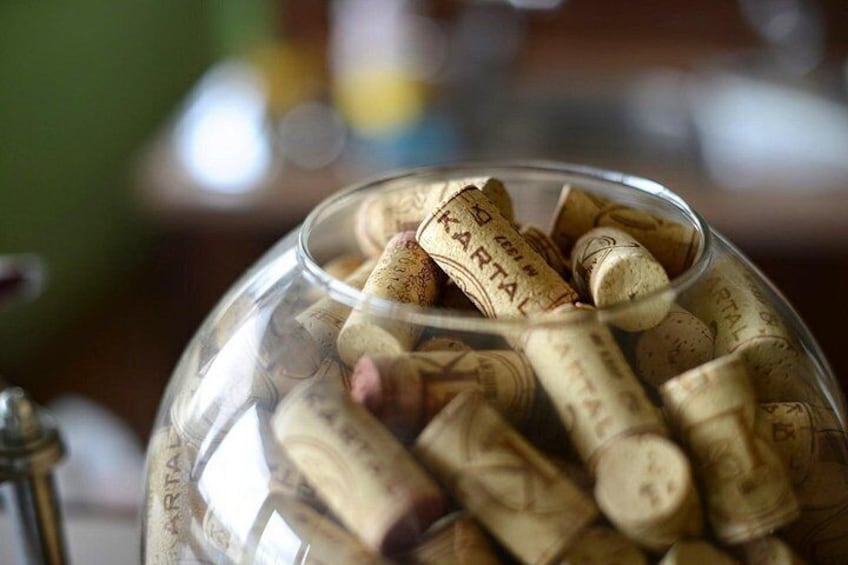 Wine Tasting Tour in Family winery Kartal in Skopje 5