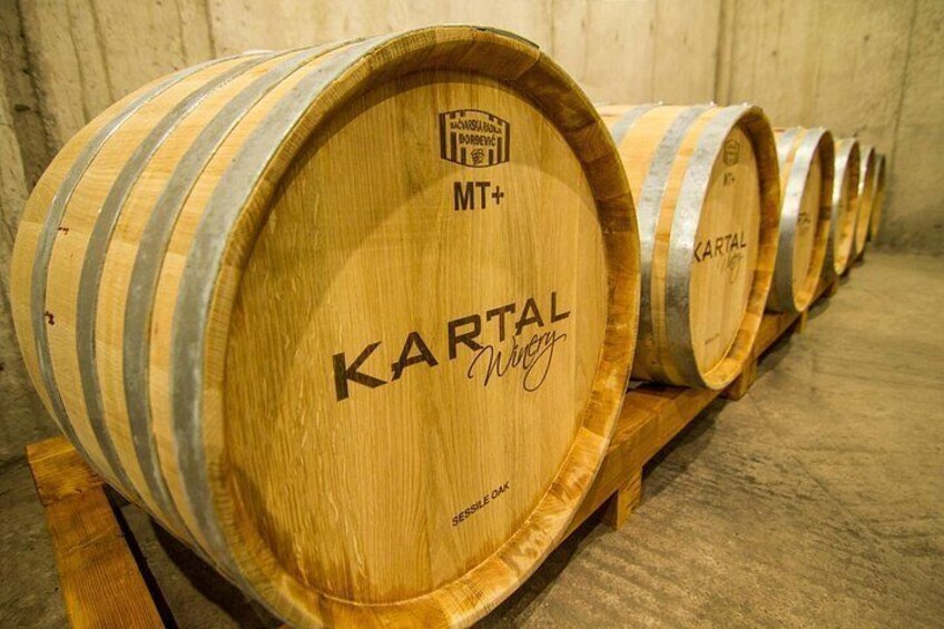 Wine Tasting Tour in Family winery Kartal in Skopje 4