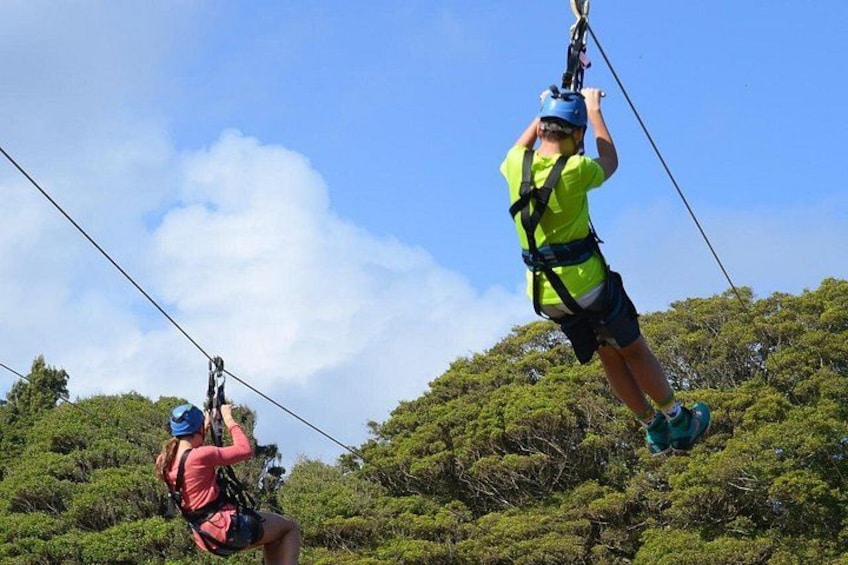Two people zip-lining with safety harnesses, surrounded by dense green foliage. 2