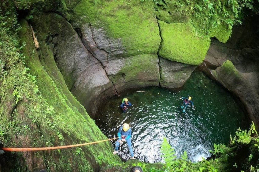 A group of people rappelling into a natural pool surrounded by moss-covered rocks. 1