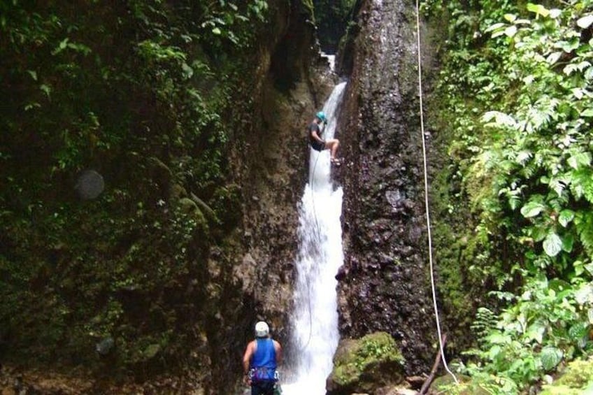 A person rappelling down a waterfall surrounded by dense foliage. 2