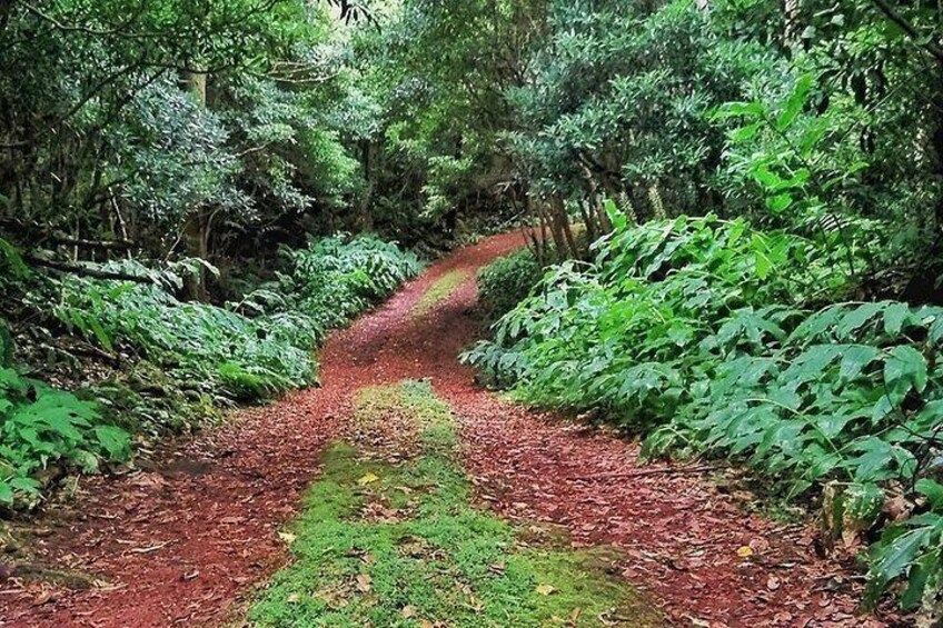 Pico Island Route 2
