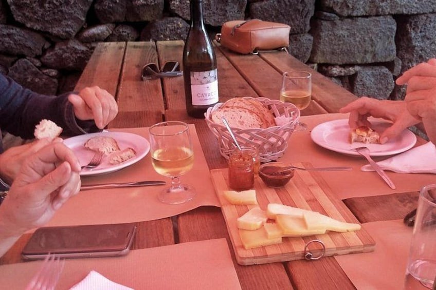 Wine and cheese tasting 4