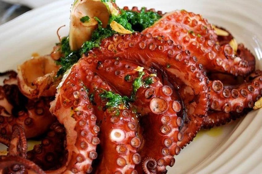 Octopus 5
