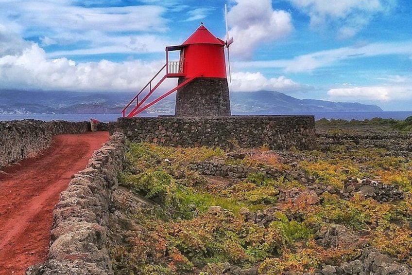 Un phare rouge, perché sur un promontoire rocheux, est accessible par un sentier de terre. 4