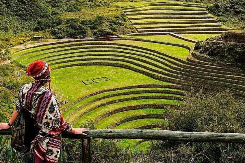 Terraced rice fields with a person overlooking them. 1