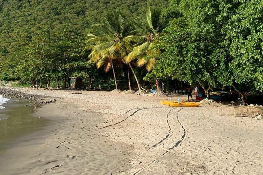 Wow Tours St. Lucia 4