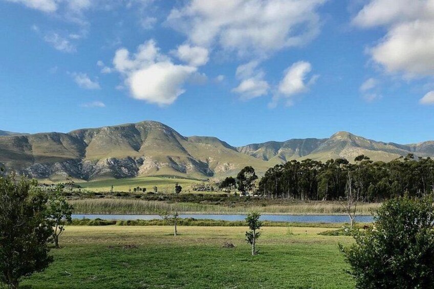 A grassy field with a lake, trees, and mountains in the background. 3