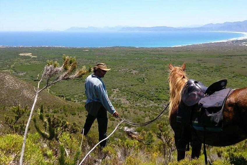A person leading a horse on a trail with a coastal landscape in the background. 1
