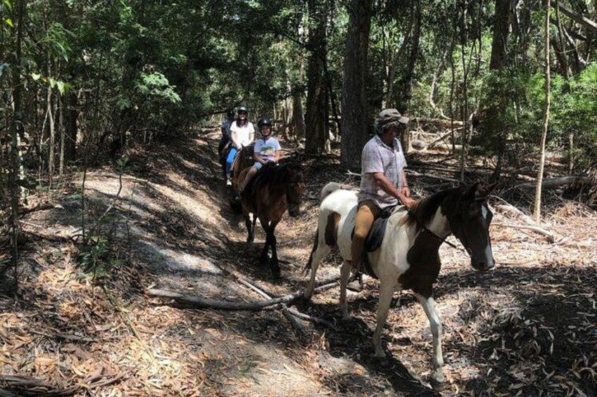 A forest trail with horseback riders. 2