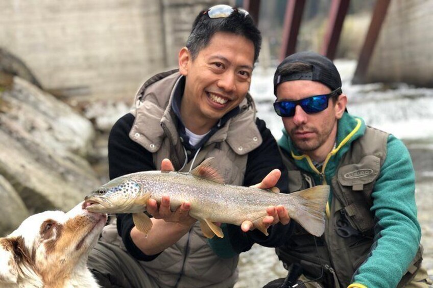 Fly Fishing For Marble And Brown Trouts In Italian Alps