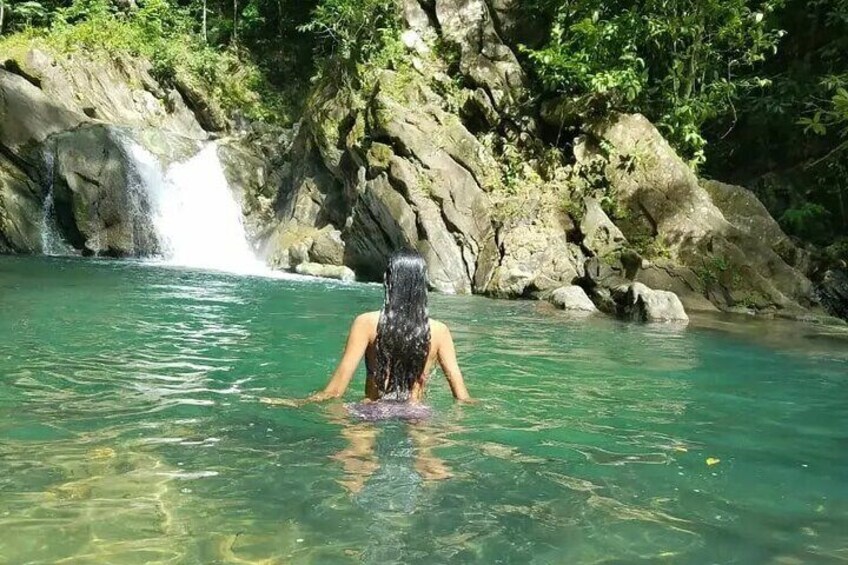 Aripo Waterfall Adventure