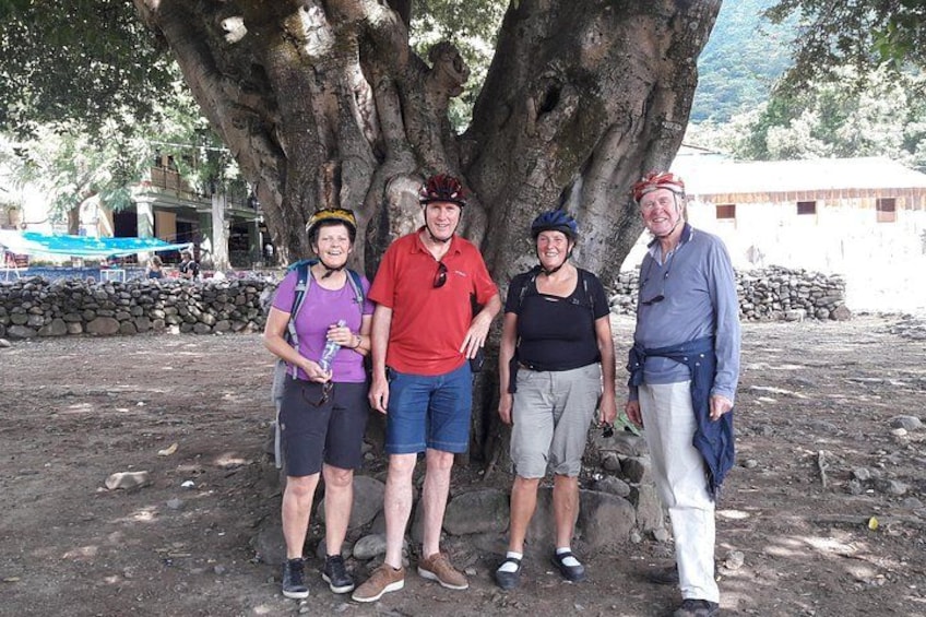 Four people standing in front of a large tree with a rocky ground and a building in the background. 3