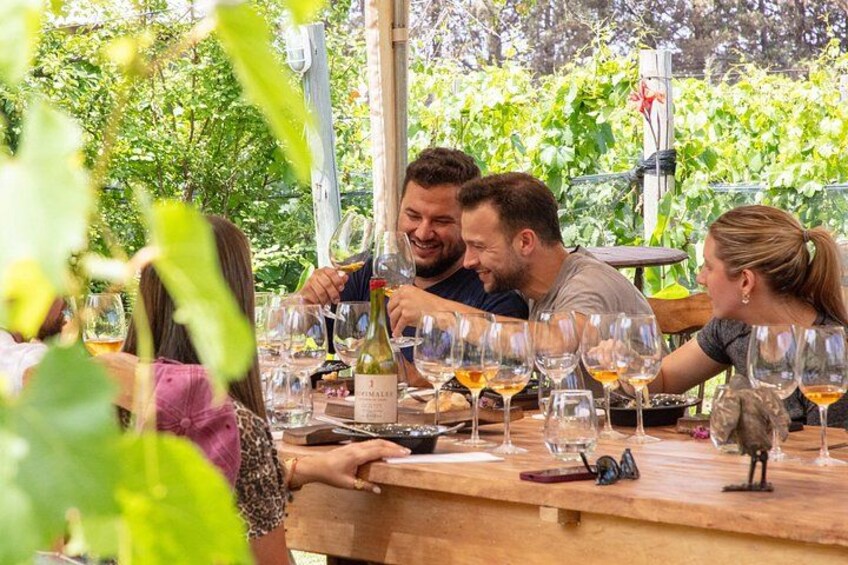Lujan Deluxe - Full day - Premium Wine Tour with Gourmet Lunch 4